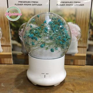 Đèn khuyếch tán tinh dầu