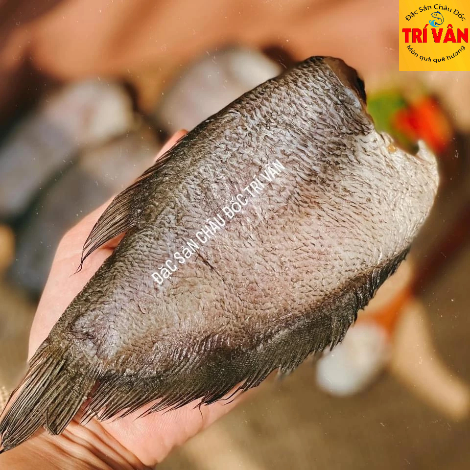 Khô Cá Sặc 3 Nắng Tự Nhiên 500Gr Thơm ngon Vừa Ăn Đặc Sản Châu Đốc Trí Vân - TV31