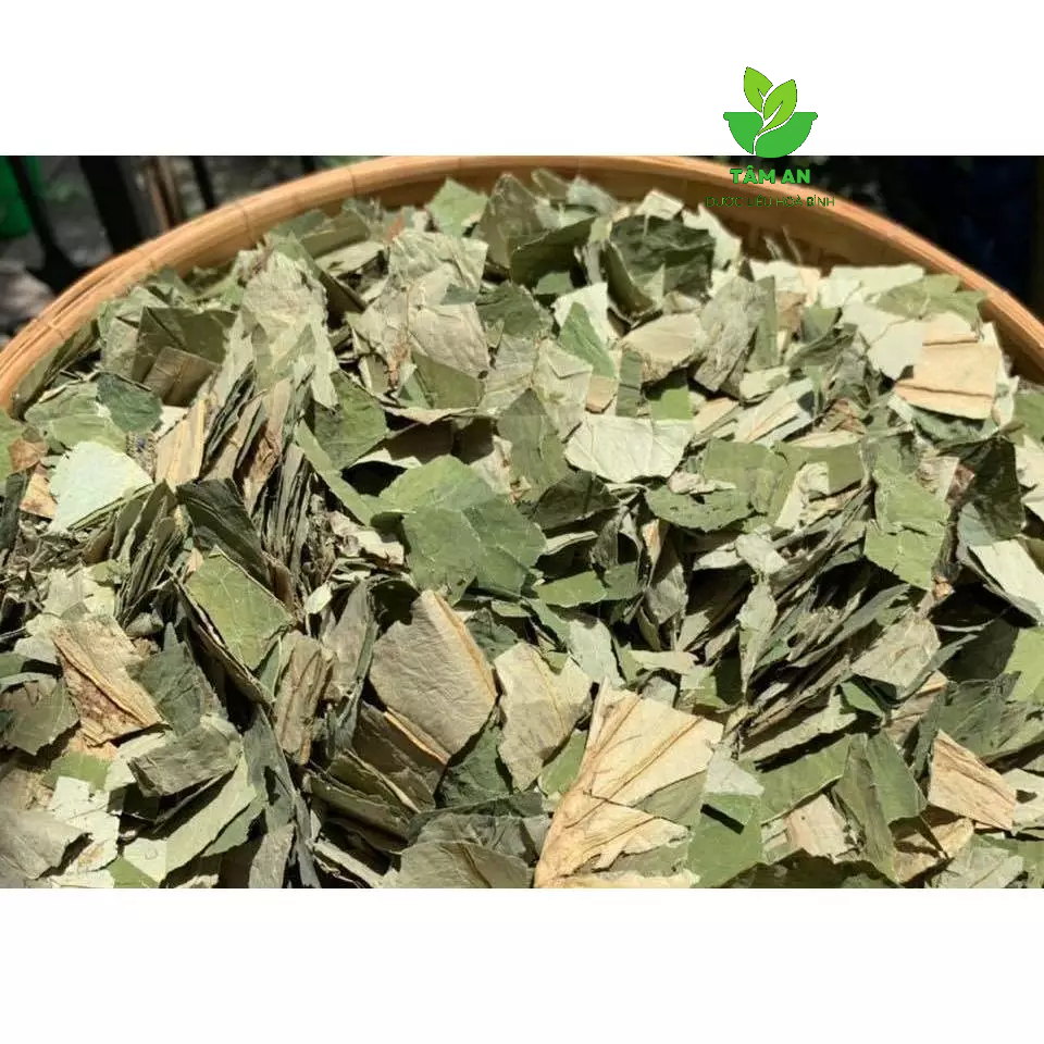 1Kg LÁ SEN TIÊU MỠ GiẢM CÂN HÀNG LOẠI 1, CAM KẾT XANH ,SẠCH ,THƠM HÀNG MỚI- TÂM AN DƯỢC LIỆU HOÀ BÌNH