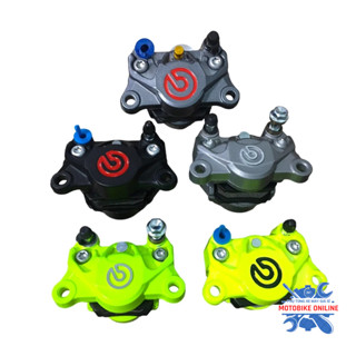 Heo Dầu rebmo 2 Piss Đối sứng hàng A50