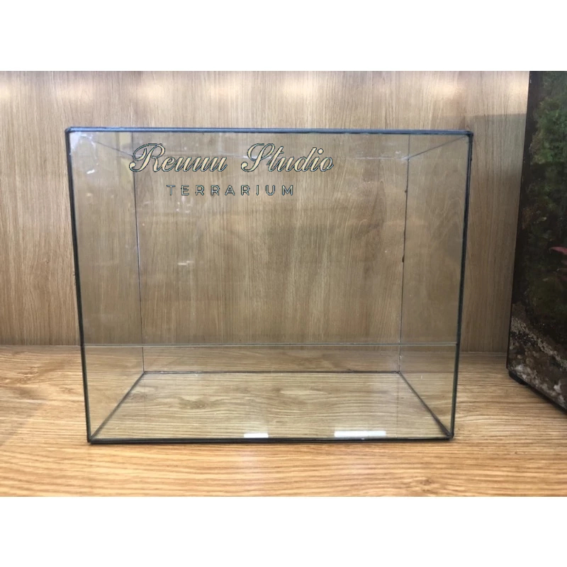 Bể kính terrarium , bán cạn mini hình hộp chữ nhật