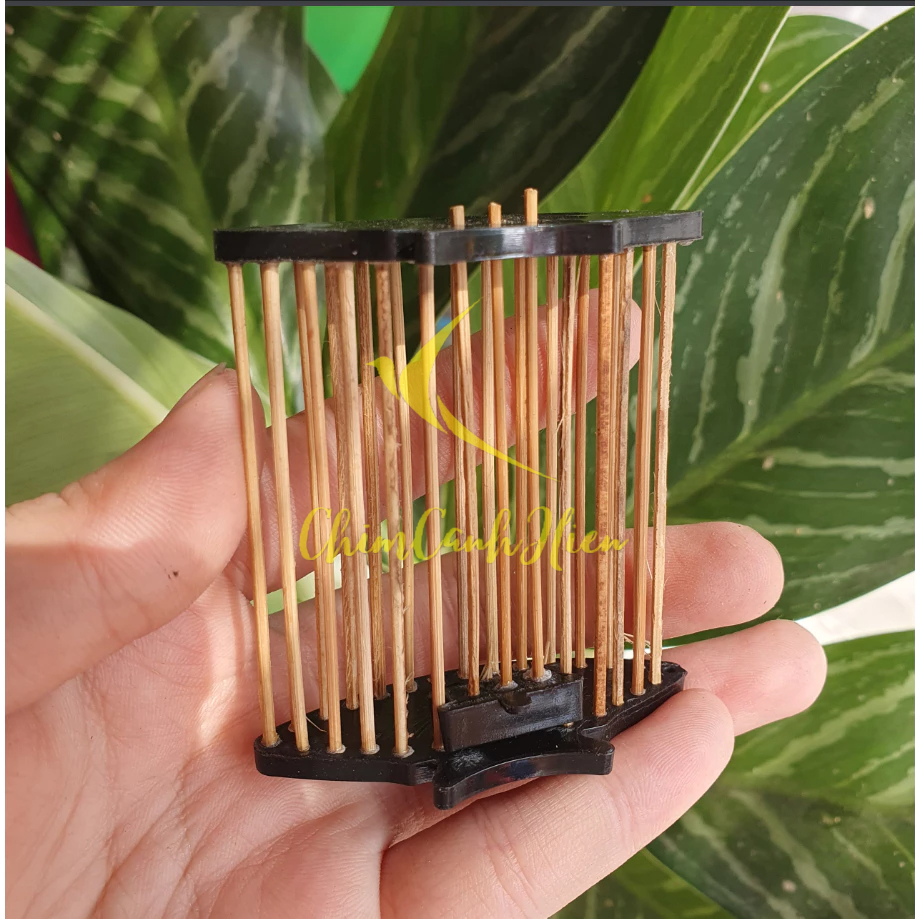 Rọ dế cào cào đen cho chim chào mào, than,lửa