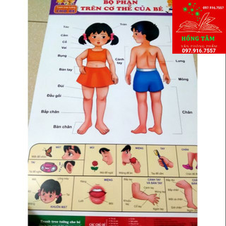 Tranh treo tường song ngữ 12 chủ đề giá 80k