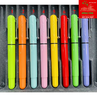Combo 10 bút máy cánh diều 202 chính hãng