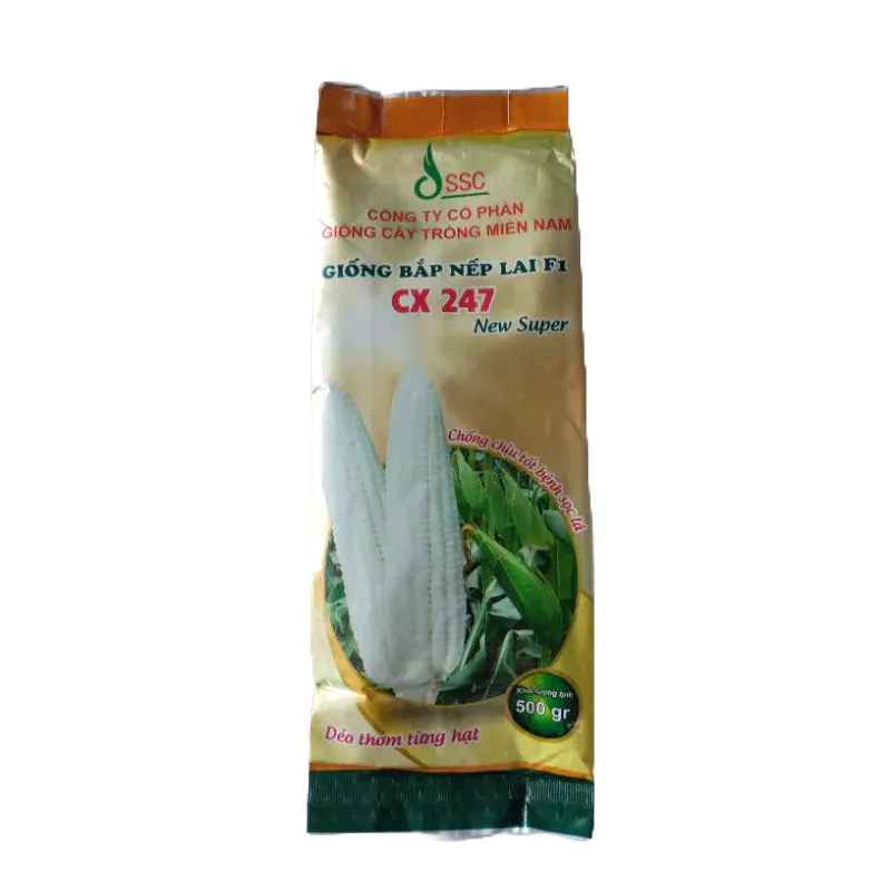 HẠT GIỐNG BẮP NẾP CX 247 500GR