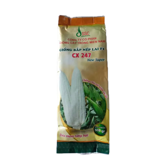 Hạt giống bắp nếp cx 247 500gr