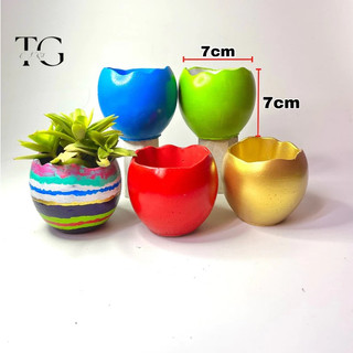 Chậu trứng xi măng trồng sen đá/ xương rồng i chậu tết 2024