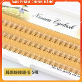 Mi fan 5d hộp vàng mi phan sẵn 5d nối phan cực đẹp cực nhẹ mắt...