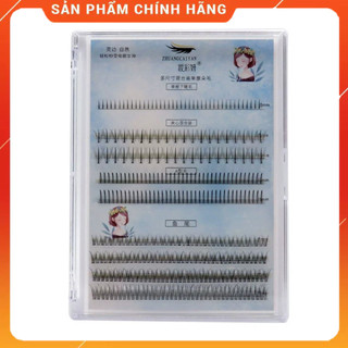 [Tặng keo + nhíp] Hộp mi mix nhiều mẫu mi chùm katun, đuôi cá, trụ, chữ A,xương cá, Khay 9 line