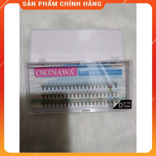 mi chùm D+ mi chùm cong đẹp tự nhiên