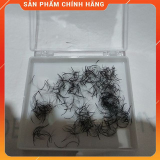 Mi nối phan tạo phan 5d 1 hộp 500 phan sẵn thương hiệu chất liệu mi xuất khẩu phan 3d cực đẹp..