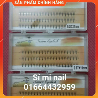 Mi nối dạng phan 10 hay còn gọi chùm chặt chân hiệu nesura