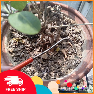 Móc rễ bonsai thép ko gỉ