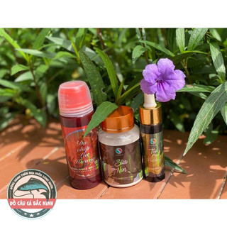 Combo Dụ Chép Lục Hương. Tinh Sữa Pudding. Sữa non. Hương Liệu Sa Phạm, Mồi Câu Sa Phạm. Mồi câu cá.