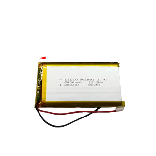 Pin Lithium 3.7V 6000mAH 905091