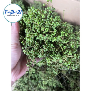 [Combo rẻ] 100 hạt dổi nếp 100gr mắc khén Tây Bắc