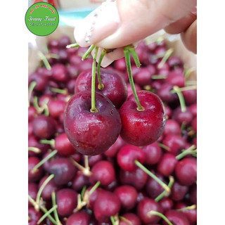 [ HỎA TỐC ] [ JENNY FRUIT ] Trái Cherry new Zealand nhập khẩu dòn ngọt