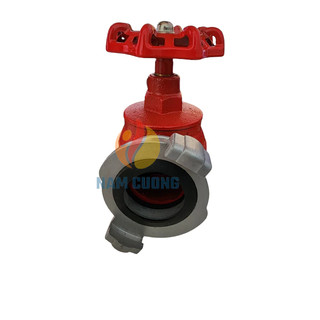 Van góc chữa cháy DN50