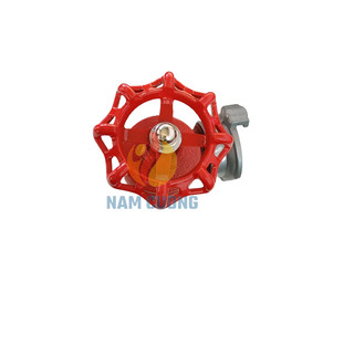 Van góc chữa cháy DN50