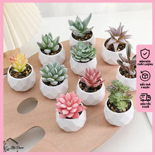 Sen đá giả mini để bàn 33 mẫu mới trang trí decor đẹp, sen đá giả cao cấp, sen đá giả decor
