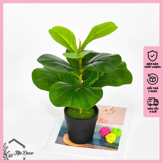 Cây bàng Singapore giả để bàn dài 35cm cao cấp giống thật 99%, cây giả để bàn, cây giả decor, cây giả trang trí nhà