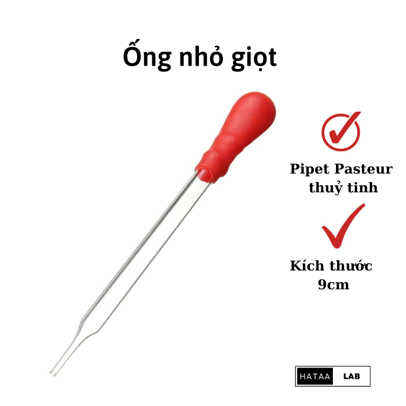 Ống nhỏ giọt đầu nhựa Pipet Pasteur Ống nhỏ giọt thủy tinh
