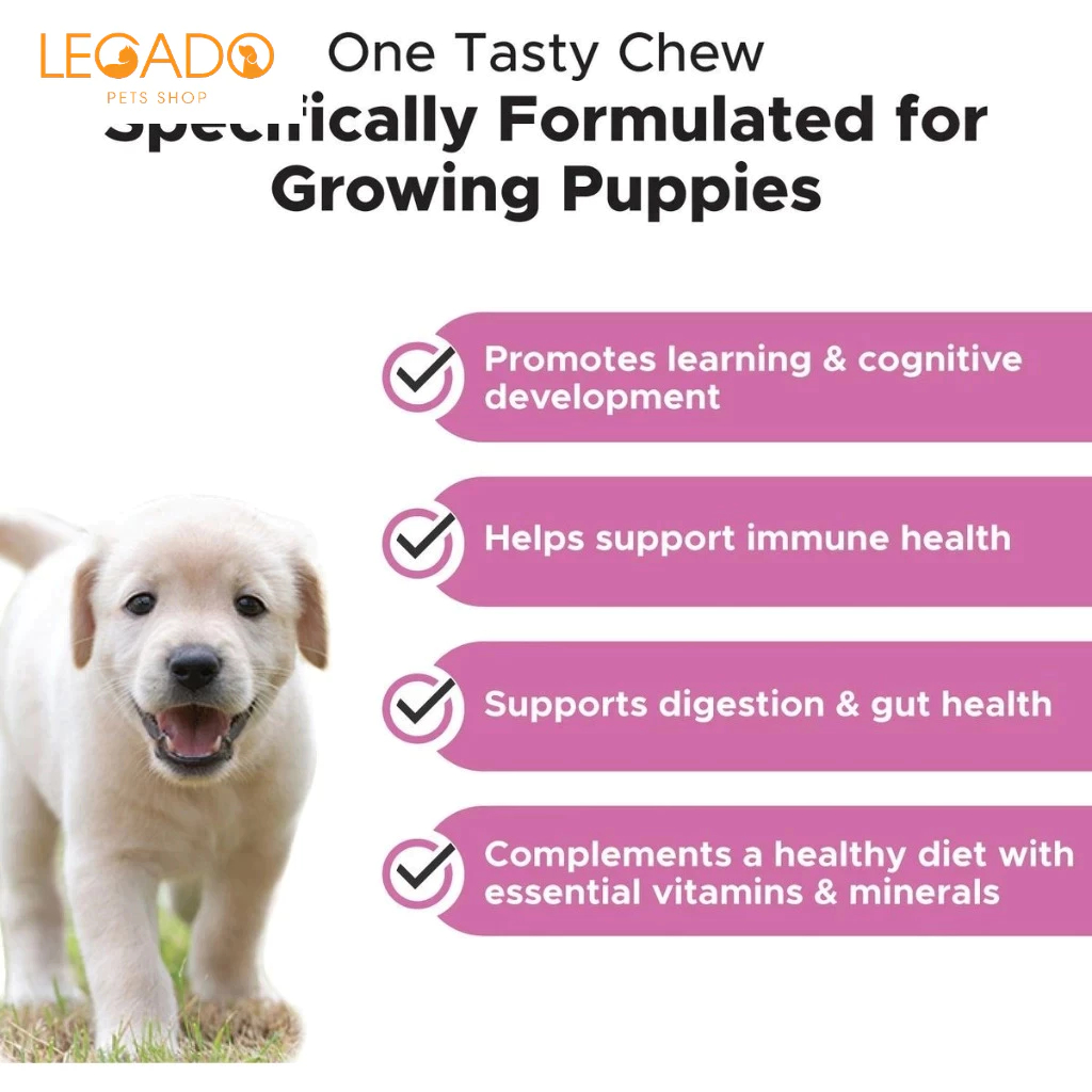Viên Bổ Vitamin Cho Chó Size Nhỏ, Chó Con Pet Honesty's Multivitamin Puppy,Tiêu Hóa, Miễn Dịch, Da Lông, Tim Mạch Não