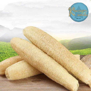 Combo 50 trái xơ mướp cao cấp 100% tự nhiên / miếng rửa chén bát / bông tắm