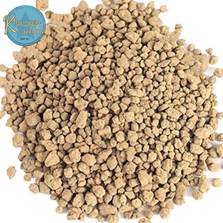 500G Đất Nền Akadama Nhật Bản Premium 3-6mm - Giá Thể Trồng Sen Đá, Xương Rồng, Kiểng Lá/Dùng Nuôi Thủy Sinh