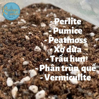 Đất Trồng Sen Đá Xương Rồng Cao Cấp Tốt Nhất, Trộn Đủ Giá Thể Dinh Dưỡng, Thoát Nước Tốt Và Cung Cấp Khoáng Chất
