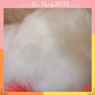 Bông gòn 2kg Bông gòn nhồi chăn ga gối đệm, thú nhồi bông cam kết sản phẩm như hình.