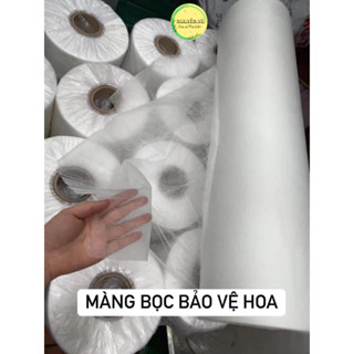 Màng bọc bảo vệ hoa tươi hoa bó lẵng hoa chậu hoa lan hồ điệp màng che hoa bảo vệ hoa trong quá trình vận chuyển