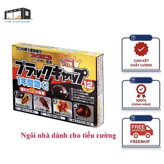 Diệt dán Nhật Bản hộp 12 viên