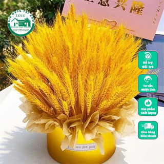 Bông Lúa Mạch Trang Trí chuẩn hàng loại 1 bông to