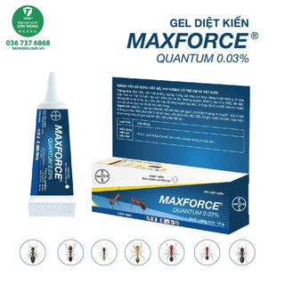 Bả diệt kiến sinh học maxforce quantum 0.03% - an toàn và hiệu quả
