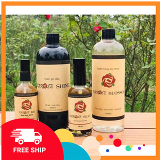 Combo 3 Chai Nước Gội Đầu Karose Shine 500ml