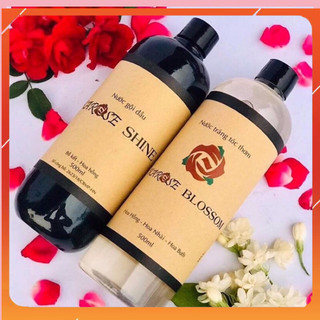Combo nước gội đầu + tráng tóc karose