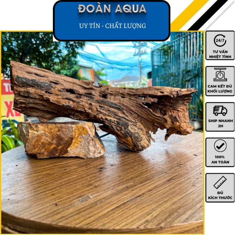Lũa San Đá Rỗng | Lũa ống Tự Nhiên  Setup Thuỷ Sinh