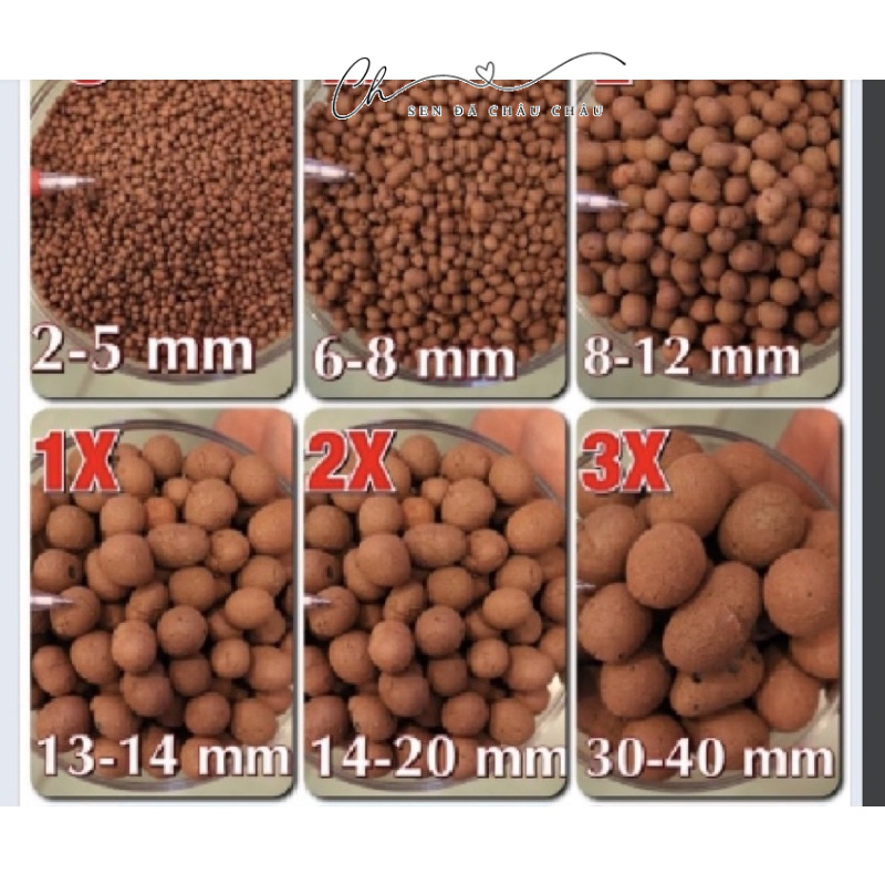 1L Hạt Đất Nung Thái (Popper) size 2-5mm