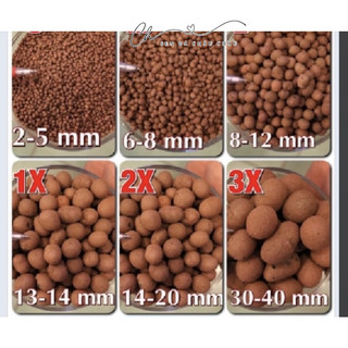 1L Hạt Đất Nung Thái (Popper) size 2-5mm