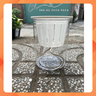 CHẬU NHỰA THUỶ SINH - TẶNG DÂY NỐI NƯỚC & SỎI