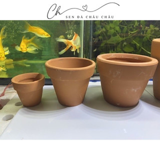 CHẬU ĐẤT NUNG CÓ LỖ THOÁT NƯỚC TỐT, TRỒNG SEN ĐÁ - XƯƠNG RỒNG SIÊU ỔN