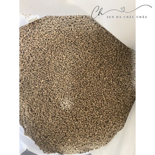 500Gr AKADAMA - HẠT RẢI MẶT TRỒNG SEN ĐÁ & XƯƠNG RỒNG