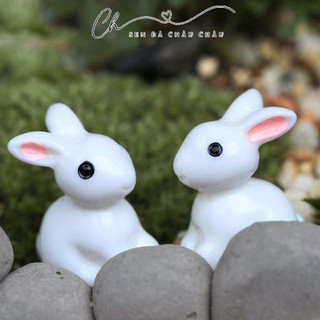 (Terrarium) 10 Phụ kiện Thỏ con trắng đáng yêu