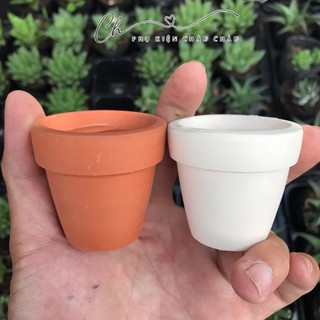 Chậu đất nung LY GỜ size 5x5cm