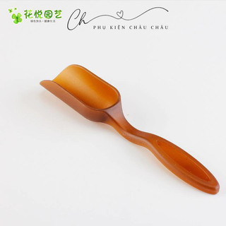 Muỗng xúc đất mini - Trồng sen đá, xương rồng, cây để bàn văn phòng