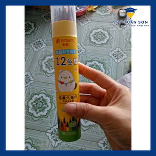 Ống Bút Chì Gỗ 12 Màu Đẹp