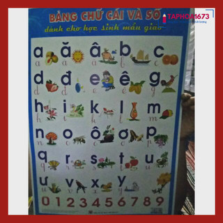 SET 5 Bảng Chữ Cái Giấy Dày Đẹp