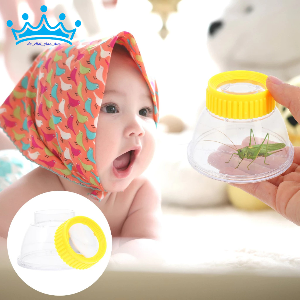 Hộp quan sát côn trùng (trên nắp hộp có kính lúp)