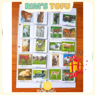 Học liệu bóc dán chủ đề  Con vật và mẹ của chúng - đồ chơi giáo dục sớm Montessori